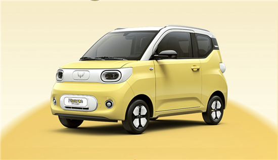mini ev mini ev